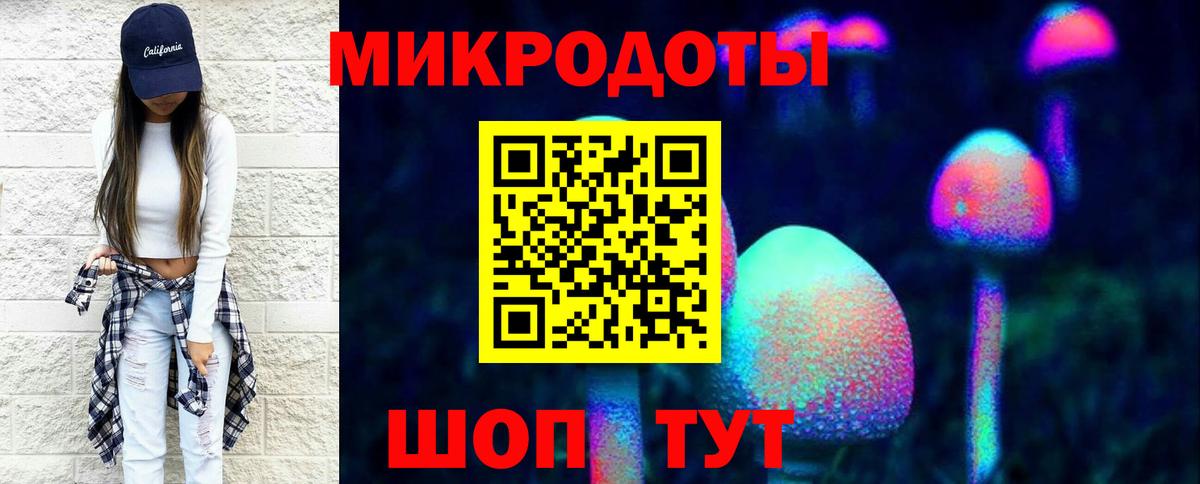 Галлюциногенные грибы Psilocybine cubensis  Псилоцибиновые грибы прущие грибы  Кохма  Вход с VPN 